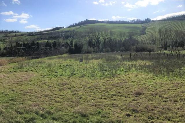 #10055 Ex complesso di stoccaggio rifiuti con area di pertinenza in vendita - foto 11