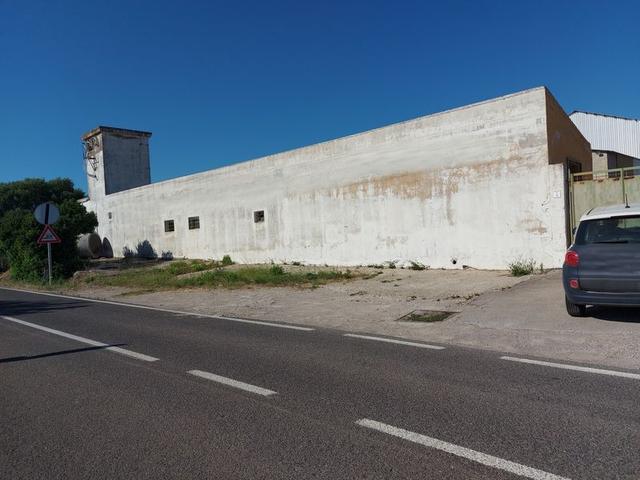 #10534 Complesso industriale con capacità edificatoria e terreni agricoli in vendita - foto 2