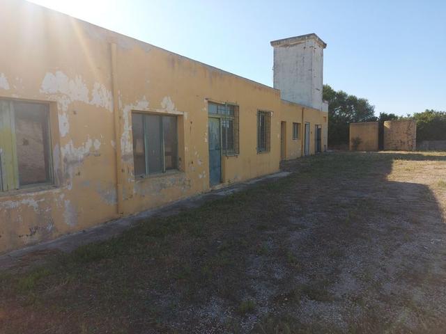 #10534 Complesso industriale con capacità edificatoria e terreni agricoli in vendita - foto 4