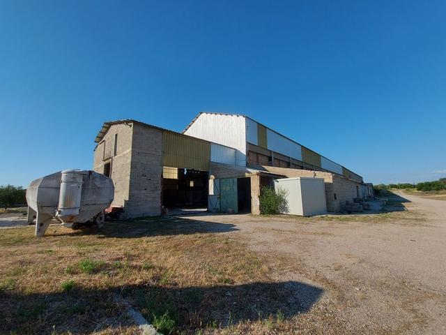 #10534 Complesso industriale con capacità edificatoria e terreni agricoli in vendita - foto 5
