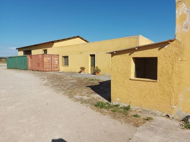 #10534 Complesso industriale con capacità edificatoria e terreni agricoli in vendita - foto 7