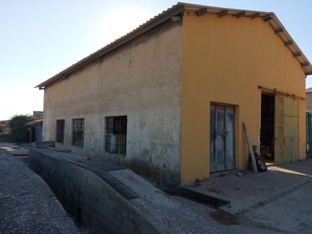 #10534 Complesso industriale con capacità edificatoria e terreni agricoli in vendita - foto 9