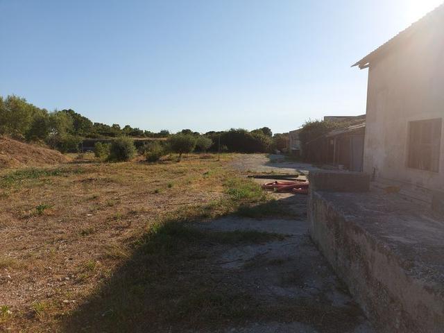 #10534 Complesso industriale con capacità edificatoria e terreni agricoli in vendita - foto 10