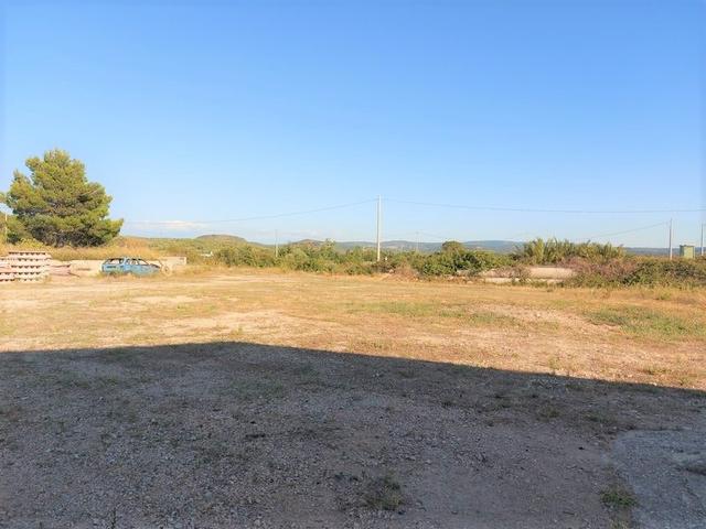 #10534 Complesso industriale con capacità edificatoria e terreni agricoli in vendita - foto 11