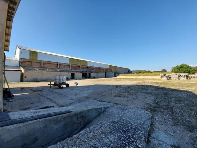 #10534 Complesso industriale con capacità edificatoria e terreni agricoli in vendita - foto 12