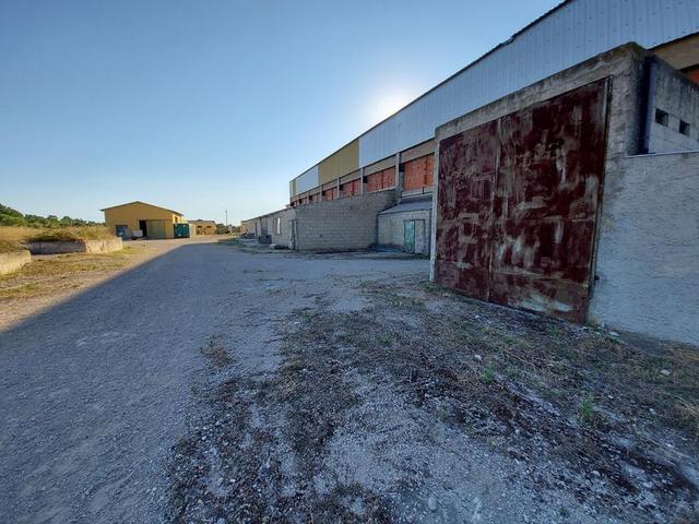 #10534 Complesso industriale con capacità edificatoria e terreni agricoli in vendita - foto 14