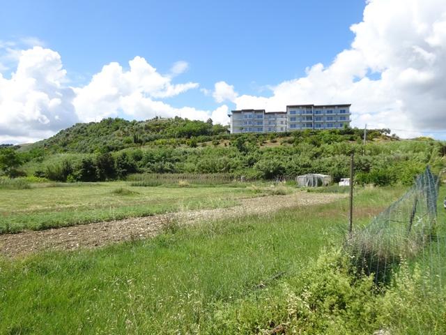 photogallery 5