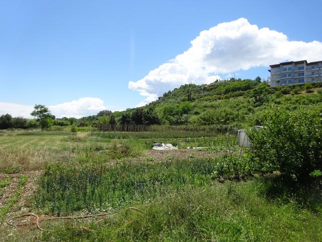 photogallery 6