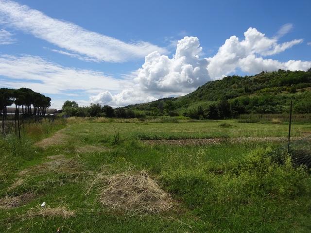 photogallery 7