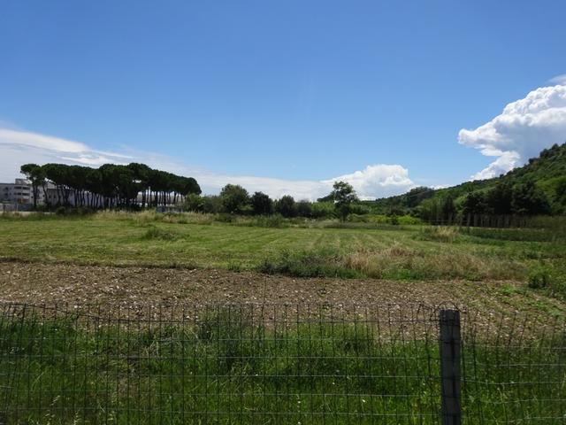 photogallery 8
