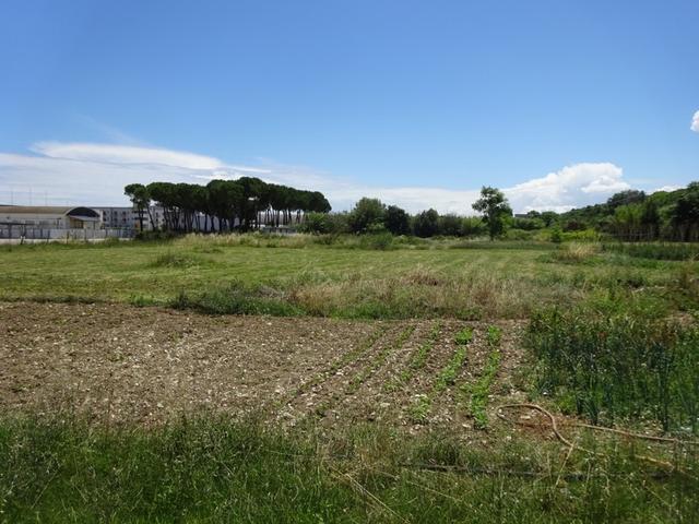 #10872 Terreno edificabile commerciale di 6.700 mq - Lotto B1 in vendita - foto 9