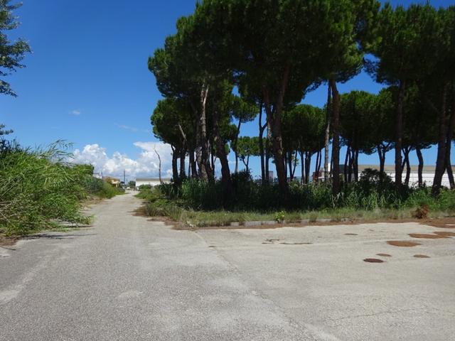 #10874 Terreno edificabile commerciale di 5.400 mq - Lotto B3 in vendita - foto 5