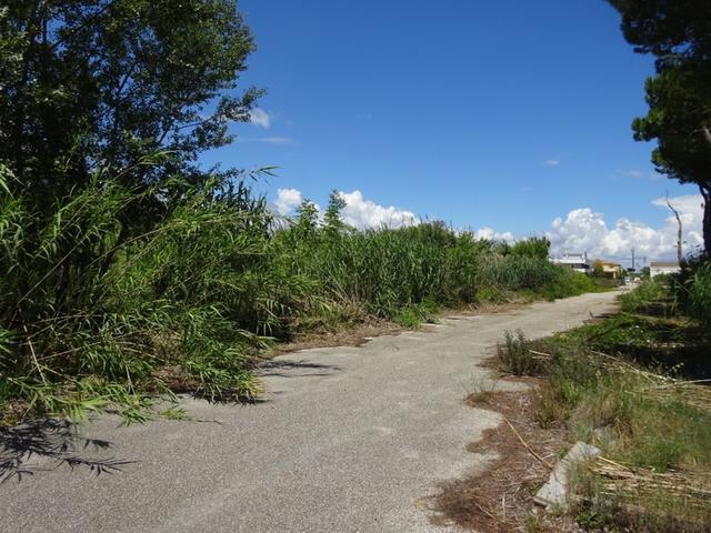#10874 Terreno edificabile commerciale di 5.400 mq - Lotto B3 in vendita - foto 7