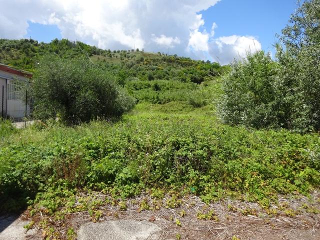 photogallery 8