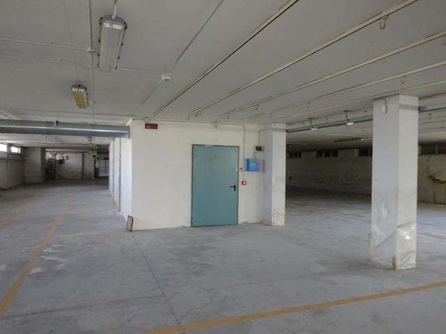 photogallery 16