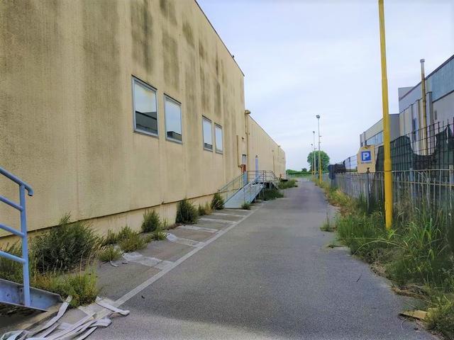 photogallery 9