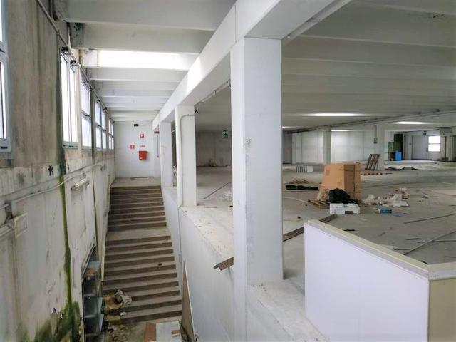 photogallery 19