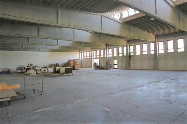 photogallery 15