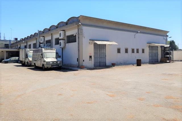 #11089 Capannone con laboratorio, negozio e zona uffici in vendita - foto 14