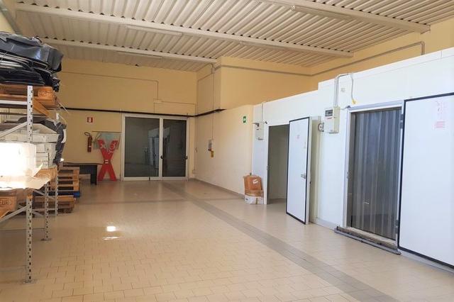 #11089 Capannone con laboratorio, negozio e zona uffici in vendita - foto 19