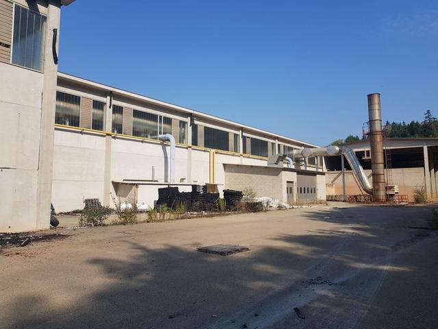#11193 Capannone con uffici, oltre a cava e terreni agricoli in vendita - foto 9