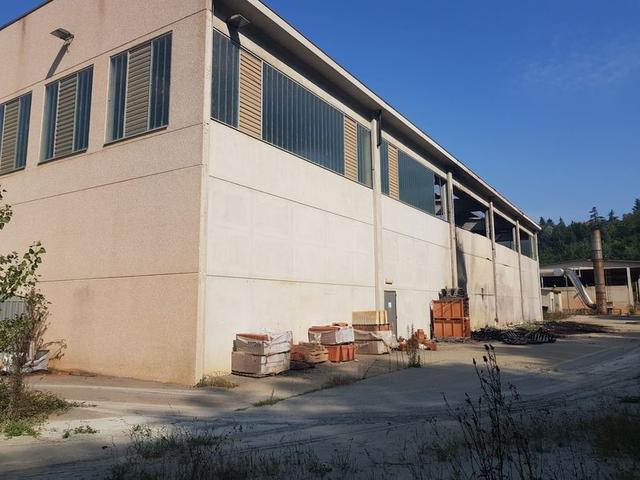 #11193 Capannone con uffici, oltre a cava e terreni agricoli in vendita - foto 10