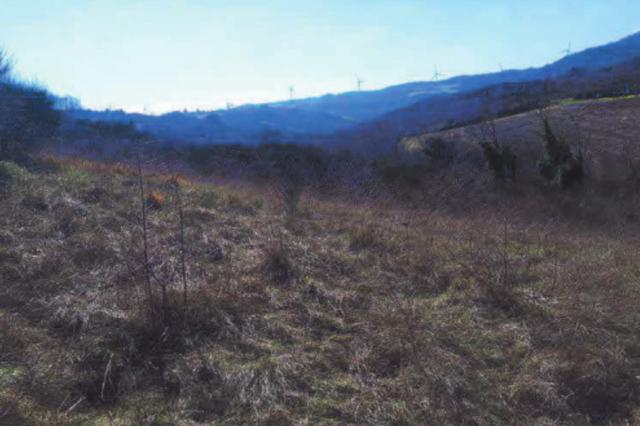 #11439 Terreno agricolo in vendita - foto 4