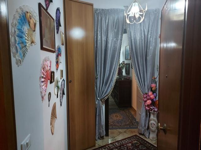 photogallery 5