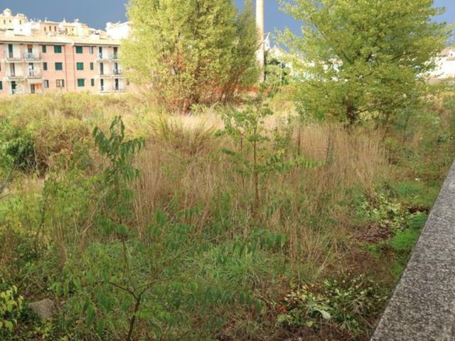 #11581 Terreno edificabile residenziale di 1711 mq in vendita - foto 7