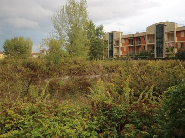 #11581 Terreno edificabile residenziale di 1711 mq in vendita - foto 8