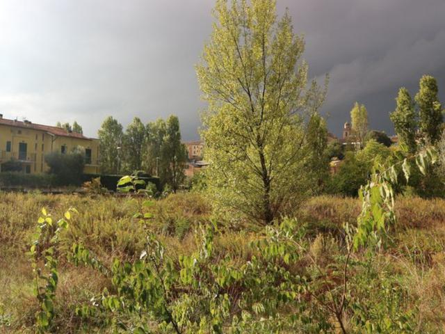 #11582 Terreno edificabile residenziale di 2000 mq in vendita - foto 7