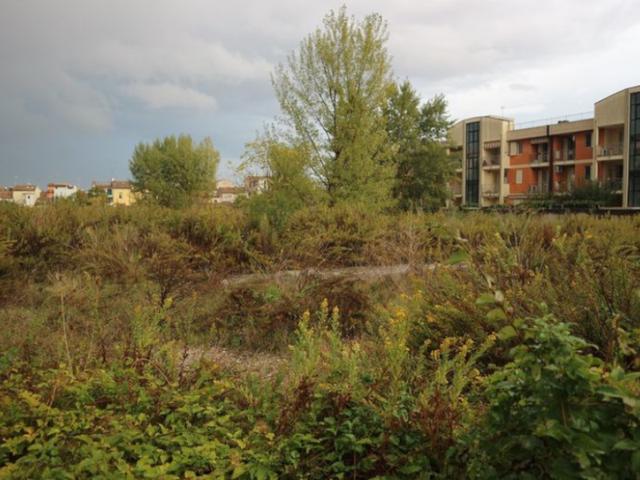 #11582 Terreno edificabile residenziale di 2000 mq in vendita - foto 8