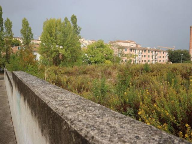 Edificabili in vendita