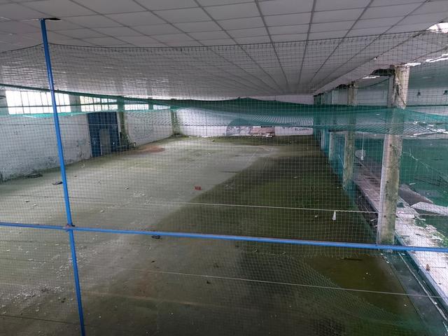 #11671 Complesso polifunzionale sportivo in vendita - foto 12