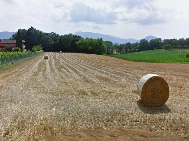 #11687 Terreno agricolo di 36.410 mq in vendita - foto 5