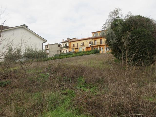 #12186 Terreno di completamento per verde privato in vendita - foto 6