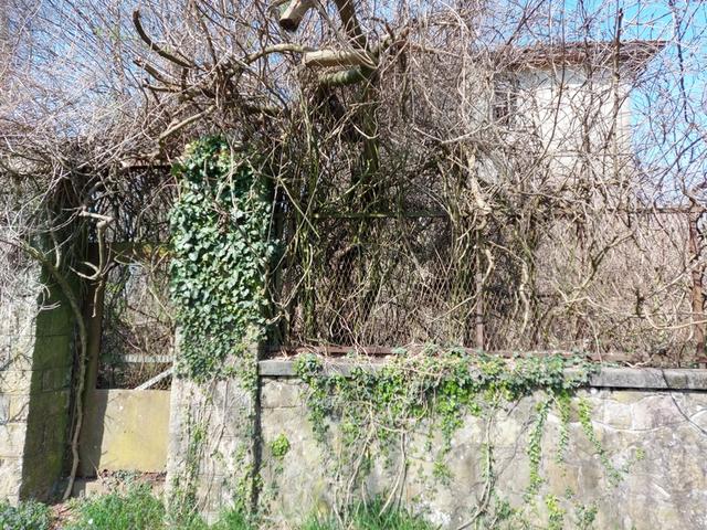 Ville in vendita