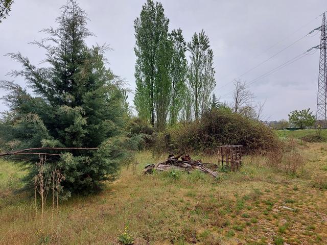 #12891 Terreno edificabile con manufatto uso rimessaggio in vendita - foto 9