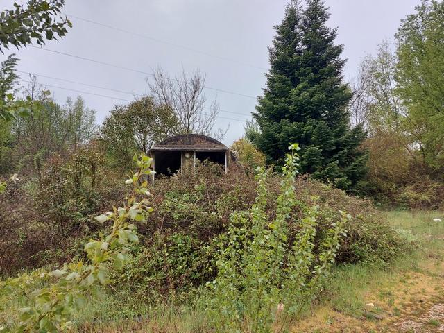 #12891 Terreno edificabile con manufatto uso rimessaggio in vendita - foto 13
