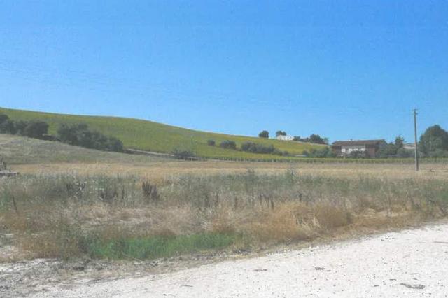 #12924 Centro zootecnico con pertinenze in vendita - foto 3