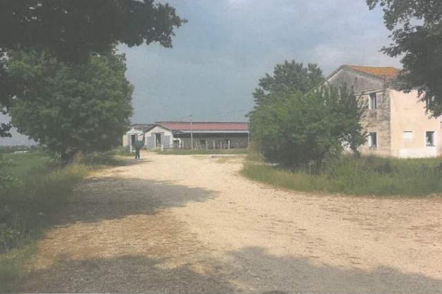 #12924 Centro zootecnico con pertinenze in vendita - foto 5