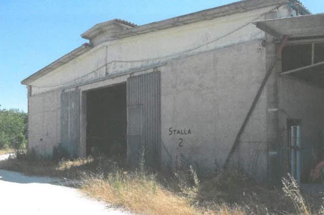 #12924 Centro zootecnico con pertinenze in vendita - foto 11