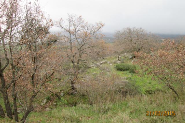 #12960 Terreni agricoli in vendita - foto 3