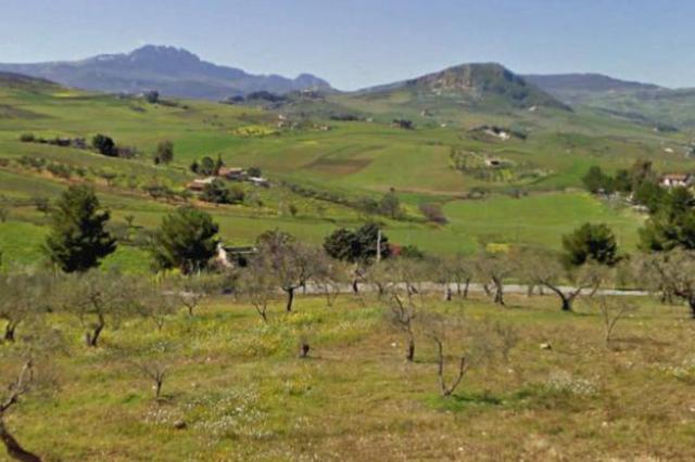 #12960 Terreni agricoli in vendita - foto 4