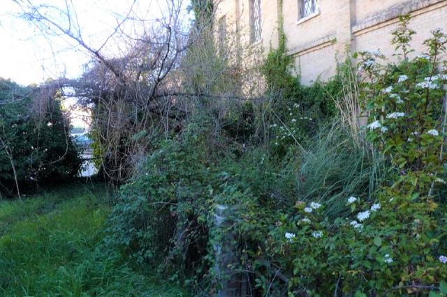#13087 Frustolo di 861 mq in zona produttiva in vendita - foto 4