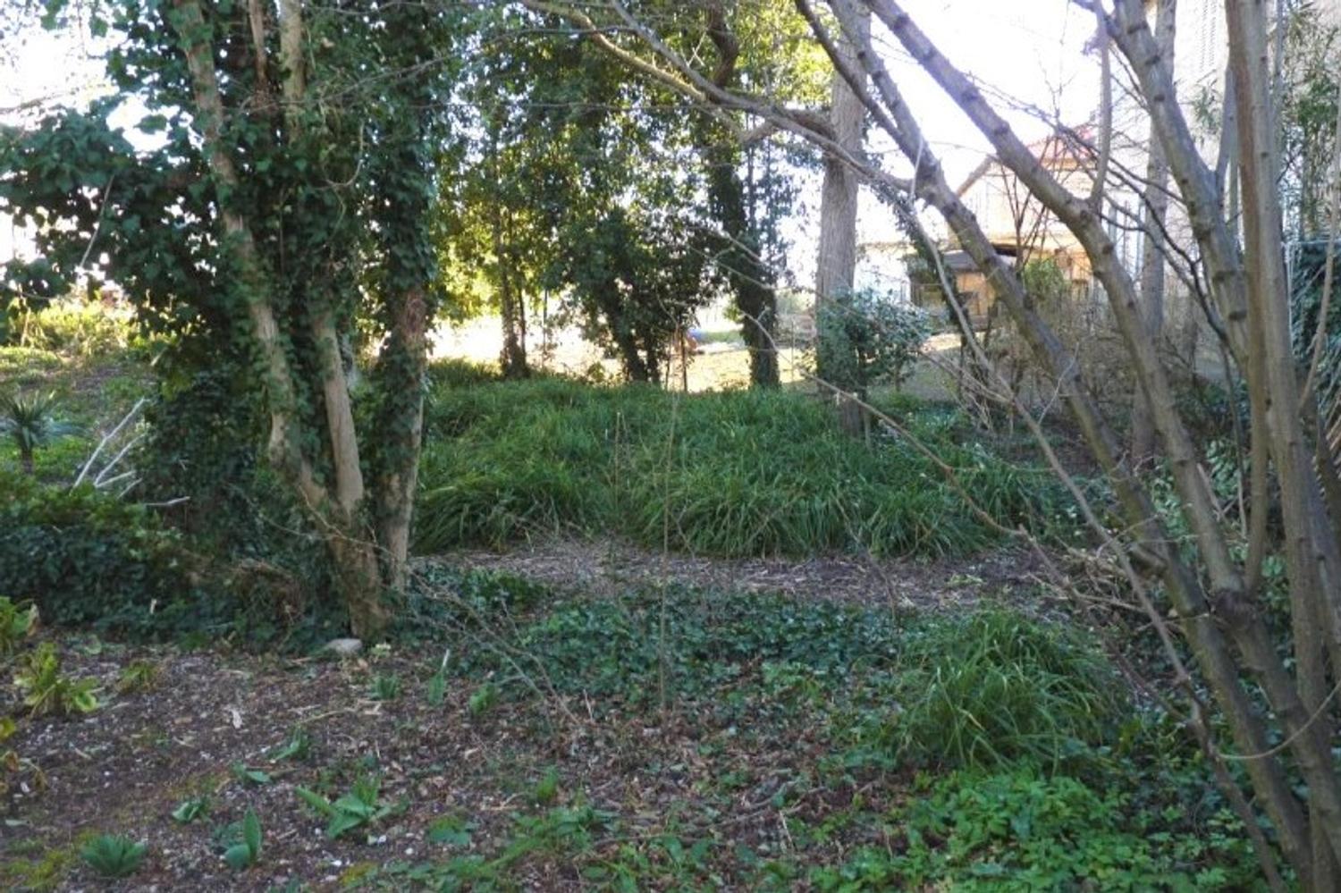 #13088 Frustolo di 1228 mq in zona produttiva in vendita - foto 3