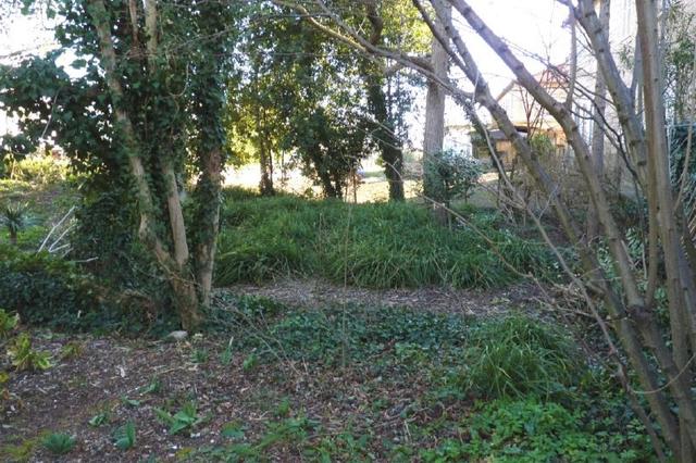 #13088 Frustolo di 1228 mq in zona produttiva in vendita - foto 3