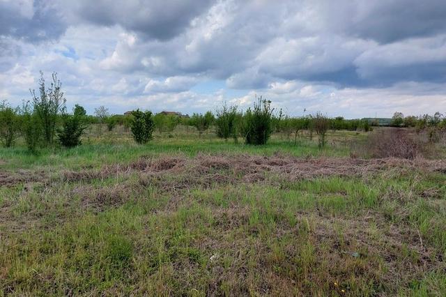 #13093 Terreno per attività commerciali e direzionali in vendita - foto 3