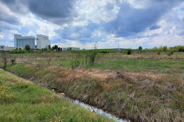 #13093 Terreno per attività commerciali e direzionali in vendita - foto 4