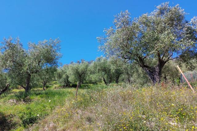 #13115 Ex polveriera per insediamento turistico ricettivo in vendita - foto 12